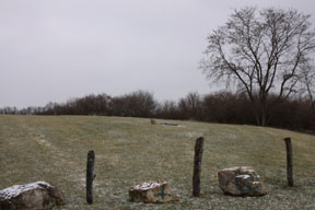 Louisa Catherine Fox Murder Site - Belmont County, Ohio